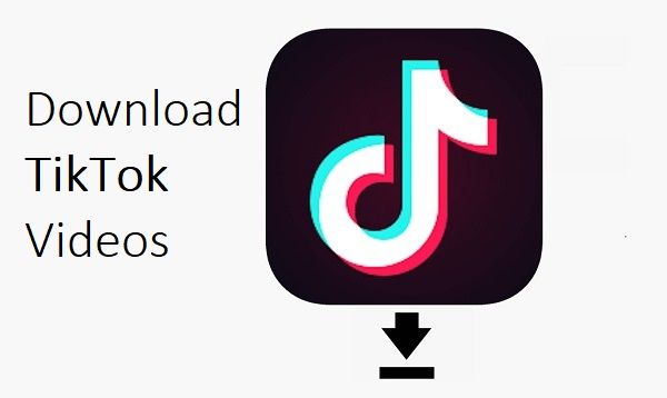 Tiktok downloader