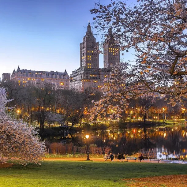 do a memorable photos