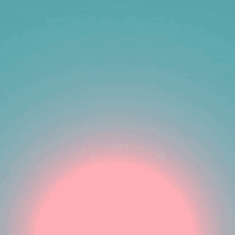 Instagram engagement