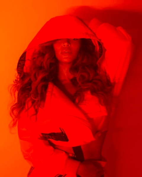 Ivy Park Celebrity brands