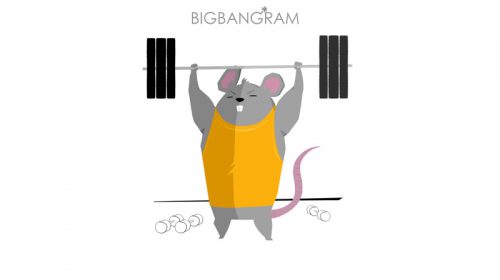 Celebrity Brands On Instagram