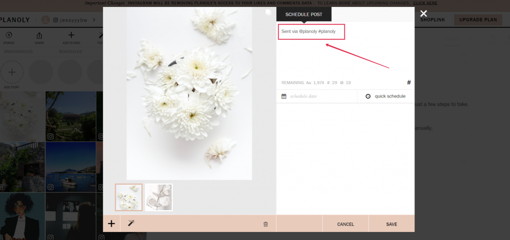 Constant branded Planoly