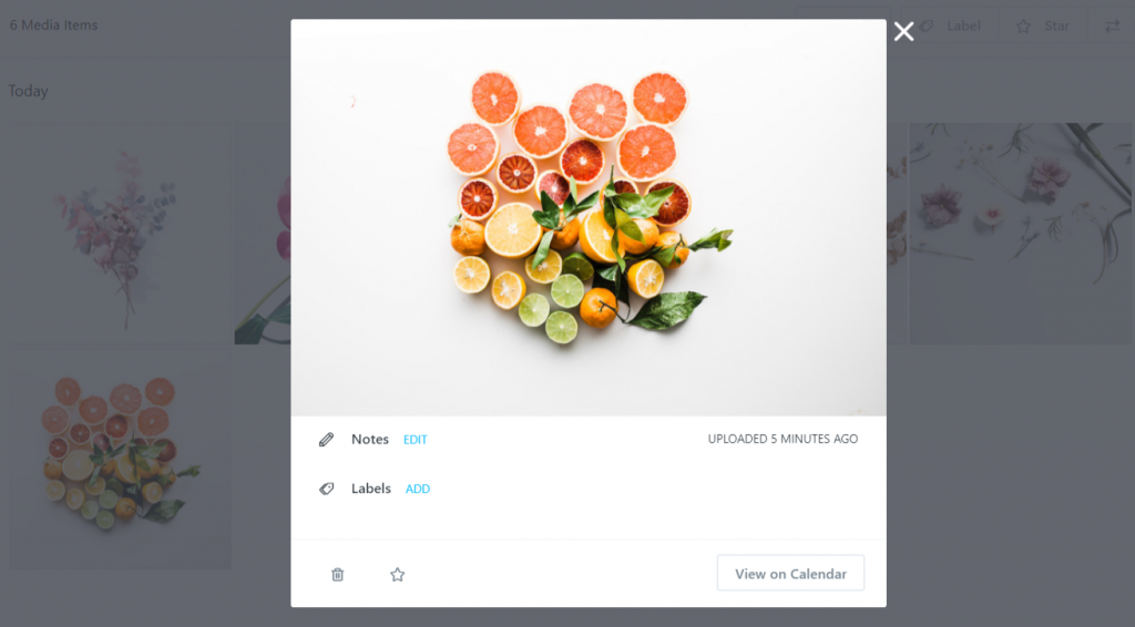 scheduled posting by Later