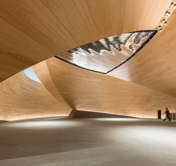 they are using any Instagram bot